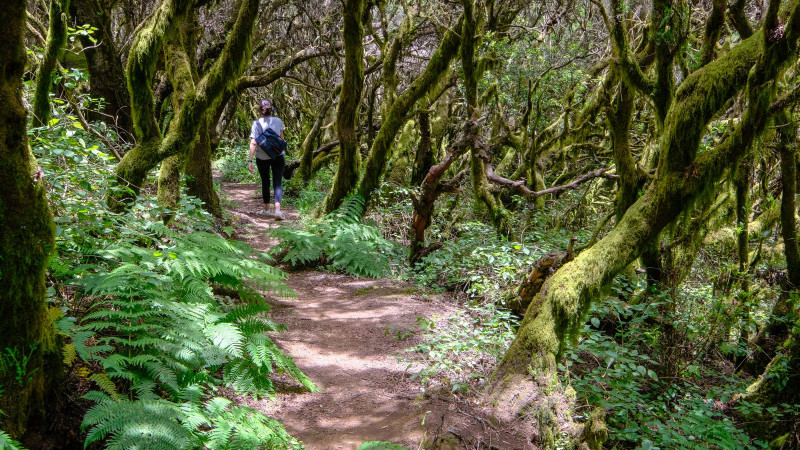 Vandring LLaniaskogen, osteria och vingård